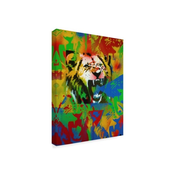 Abstract Graffiti 'Lion' Canvas Art,18x24